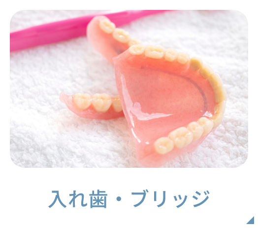 入れ歯・ブリッジ